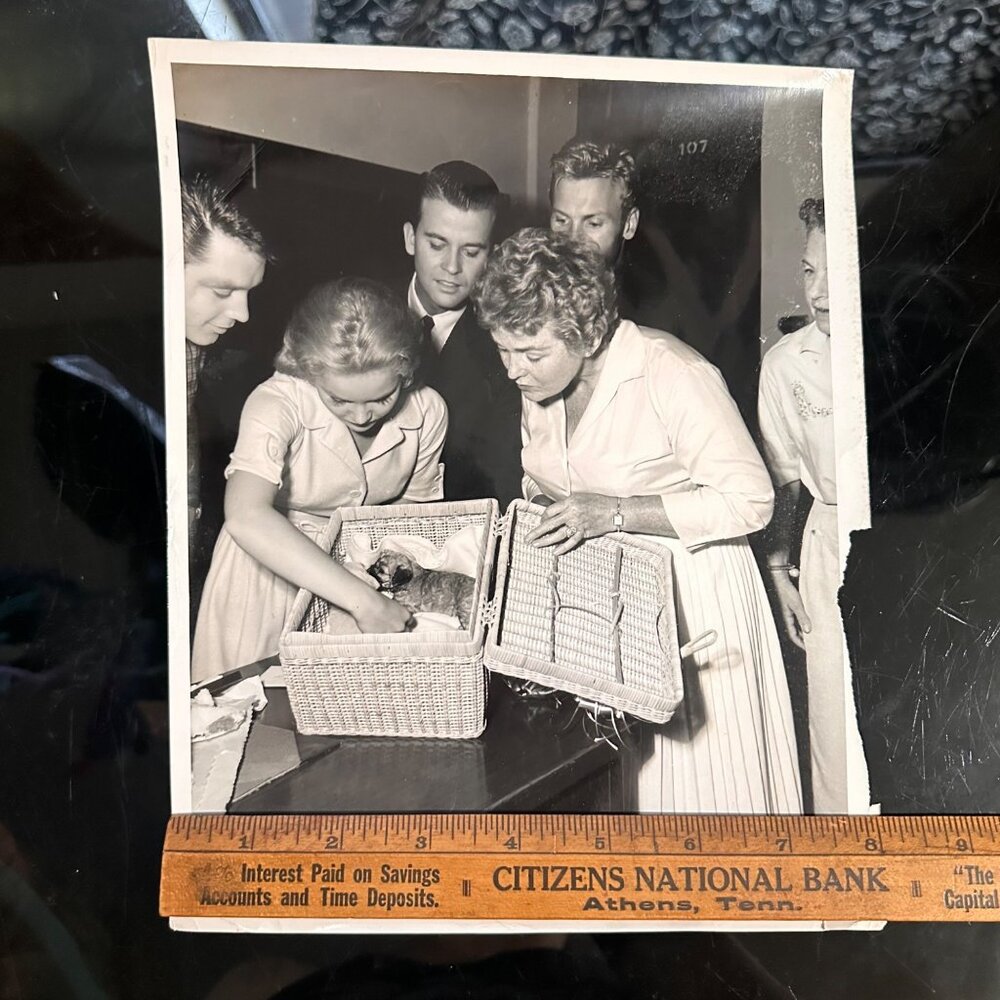 Vintage 1960 Hollywood Photo Of Tuesday Weld Dick Clark Tab Hunter & More With P - Picture 4 of 14